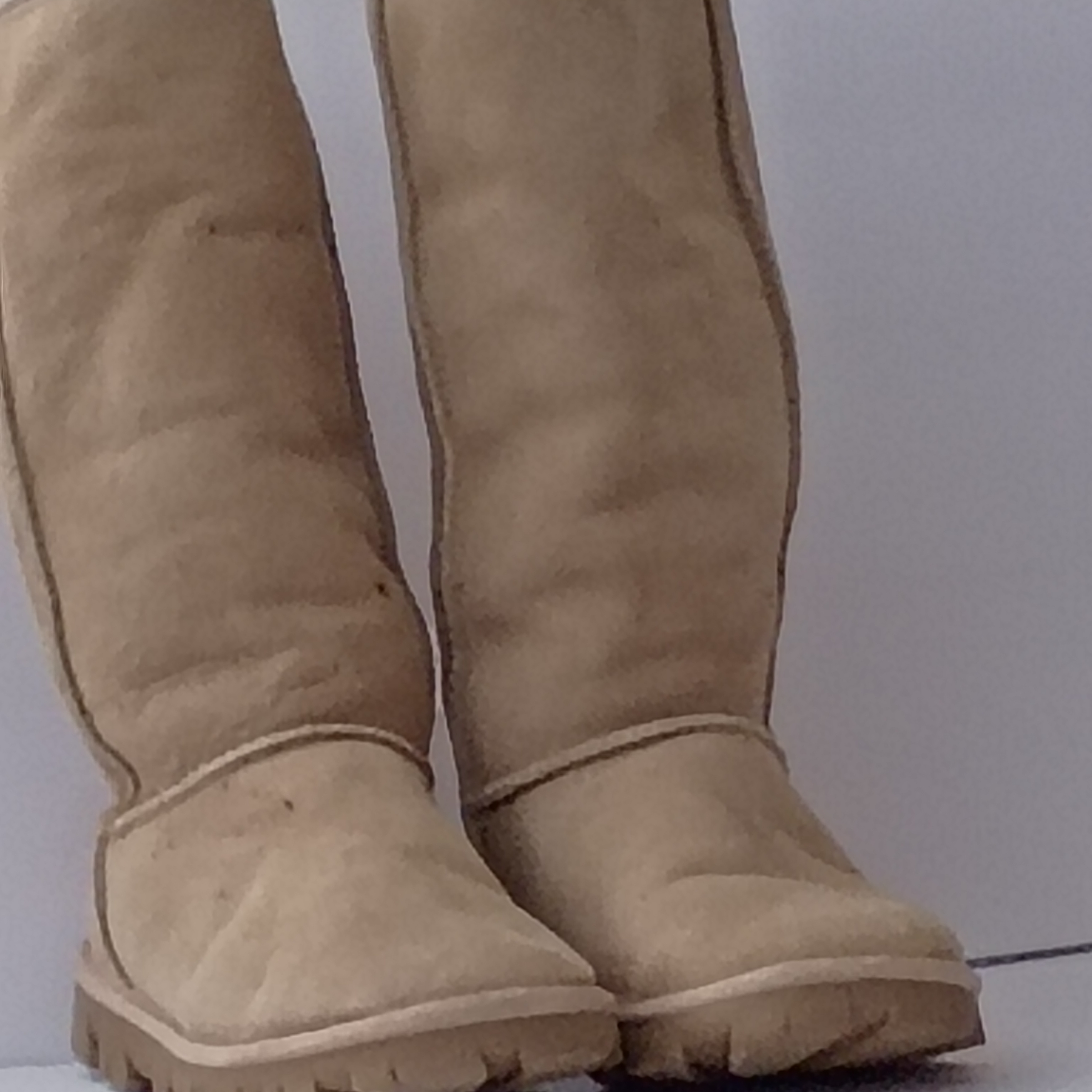 Ugg Tall Women's Winter Boots In Tan